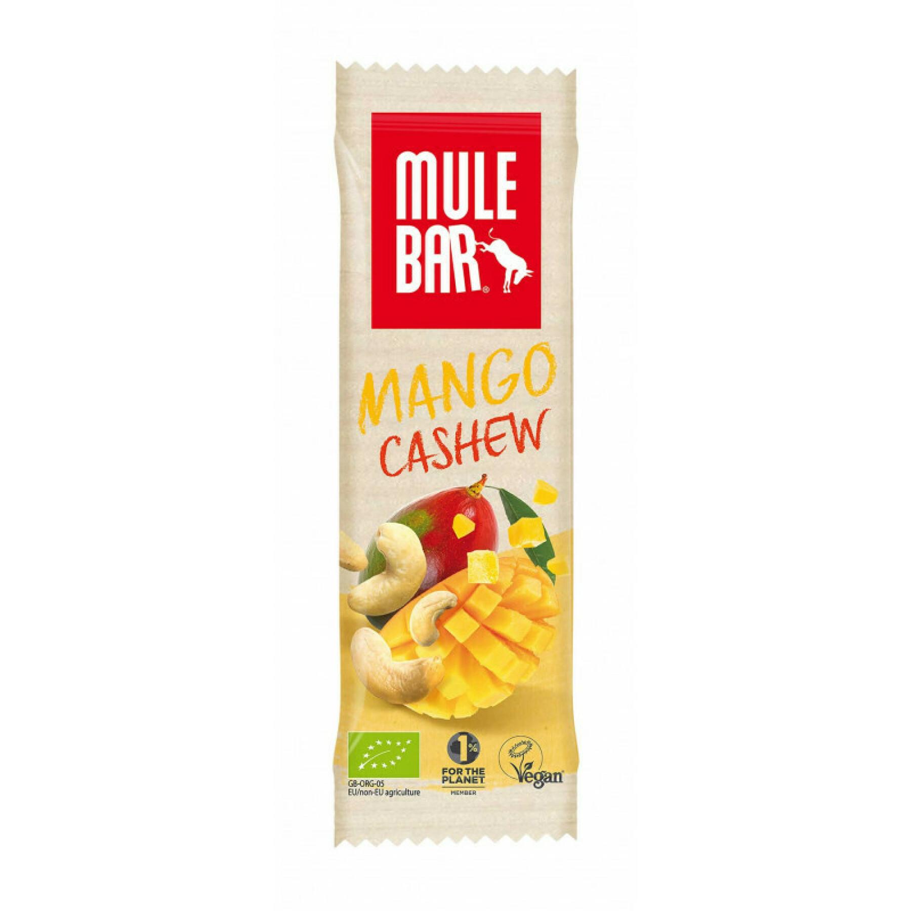 Pack of 15 Mango Cashew Nutrition Bars Mulebar 40g