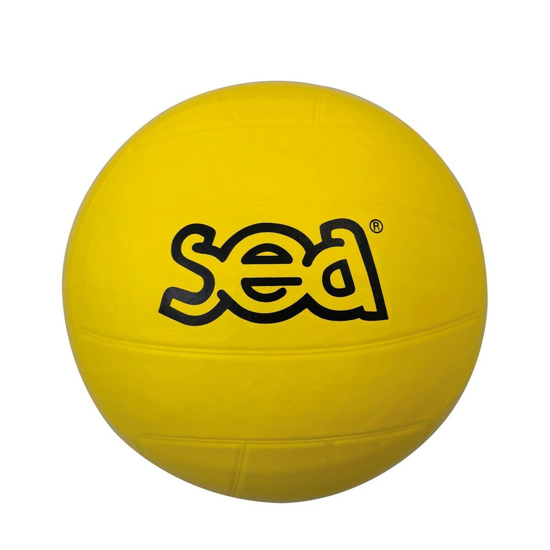 Pallone multisport SEA