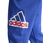Pantaloni sportivi Adidas Future Icons Bos