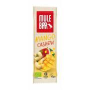 Pack of 15 Mango Cashew Nutrition Bars Mulebar 40g